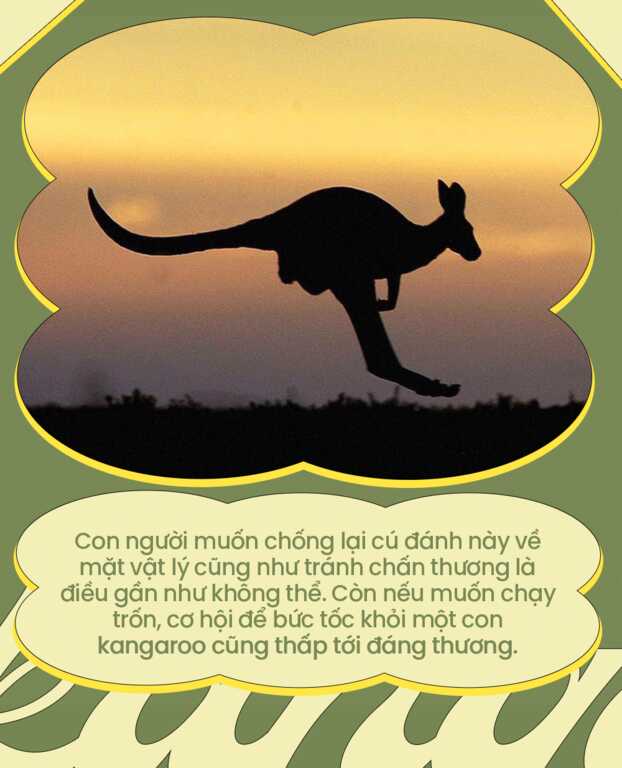So găng cùng chuột túi, con người liệu có cơ hội chiến thắng? - Ảnh 8.