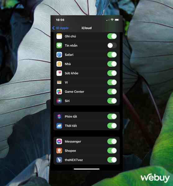 iCloud trên thiết bị của bạn không hoạt động? Đây là các giải pháp khắc phục dành cho bạn - Ảnh 5. iCloud trên thiết bị của bạn không hoạt động? Đây là các giải pháp khắc phục dành cho bạn - Ảnh 5.