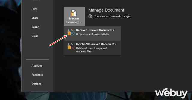 Cách khôi phục lại tập tin Office chưa kịp lưu bằng các tùy chọn có sẳn - Ảnh 8.