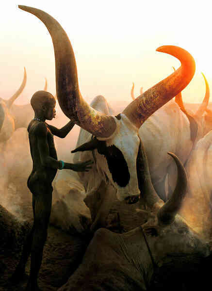 Bộ tộc Dinka của Nam Sudan: Những người cao nhất ở Châu Phi, và có lẽ là cả thế giới - Ảnh 4. Bộ tộc Dinka của Nam Sudan: Những người cao nhất ở Châu Phi, và có lẽ là cả thế giới - Ảnh 4.