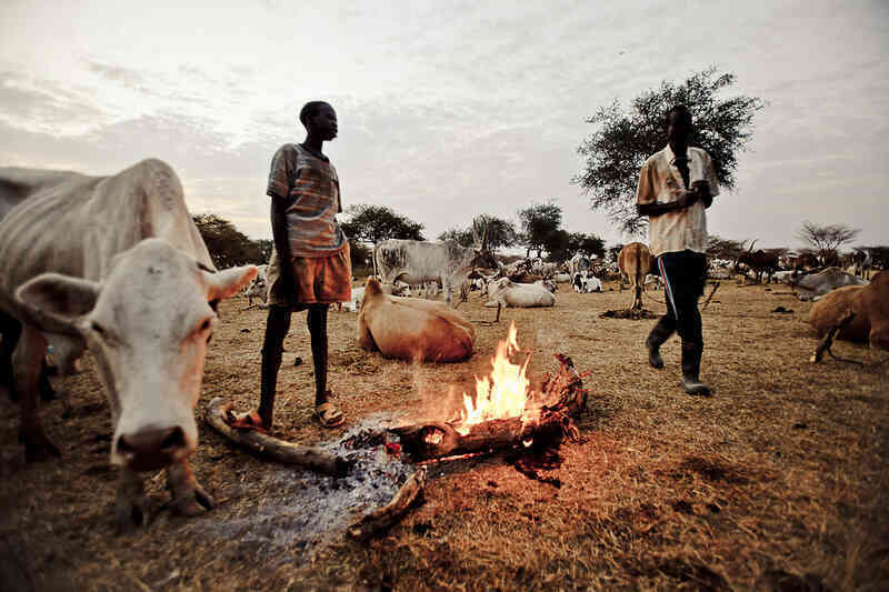 Bộ tộc Dinka của Nam Sudan: Những người cao nhất ở Châu Phi, và có lẽ là cả thế giới - Ảnh 5. Bộ tộc Dinka của Nam Sudan: Những người cao nhất ở Châu Phi, và có lẽ là cả thế giới - Ảnh 5.