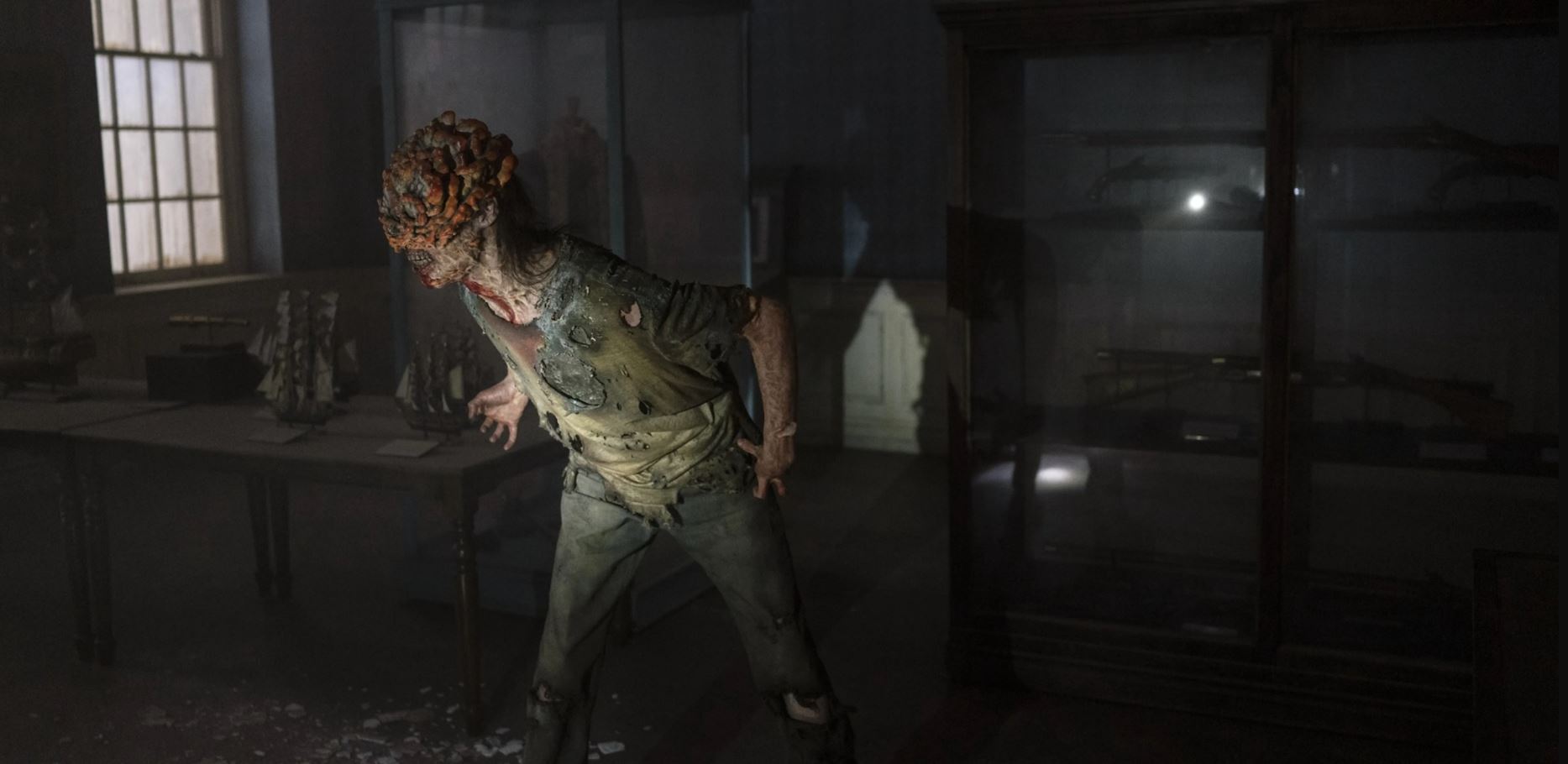 Giải mã loài zombie mới trong bom tấn truyền hình The Last Of Us - Ảnh 3. Giải mã loài zombie mới trong bom tấn truyền hình The Last Of Us - Ảnh 3.