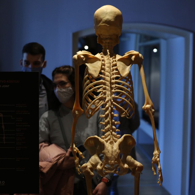 Các nhà khoa học tìm thấy dấu vết sửa đổi trong DNA: Liệu con người có phải là sản phẩm của 'thiết kế'? - Ảnh 3. Các nhà khoa học tìm thấy dấu vết sửa đổi trong DNA: Liệu con người có phải là sản phẩm của 'thiết kế'? - Ảnh 3.
