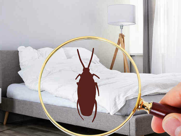 Nhà có mùi khó chịu mà không rõ nguyên nhân, kiểm tra ngay loạt dấu hiệu đáng ngờ sau kẻo nguy hiểm đến sức khỏe - Ảnh 9.