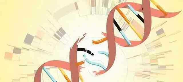 Tại sao con người lại tiến hóa cơ chế chết? Sự bất tử có thực sự tuyệt vời như bạn tưởng tượng? - Ảnh 5.