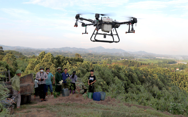 drone 1.jpg