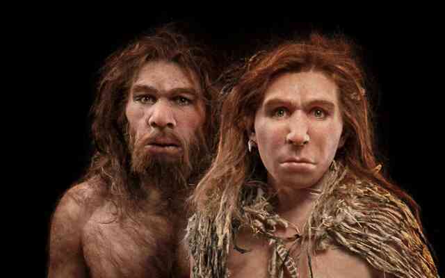 Người Neanderthal thông minh hơn đười ươi và khỉ, vậy tại sao họ lại tuyệt chủng cách đây 30.000 năm? - Ảnh 3. Người Neanderthal thông minh hơn đười ươi và khỉ, vậy tại sao họ lại tuyệt chủng cách đây 30.000 năm? - Ảnh 3.