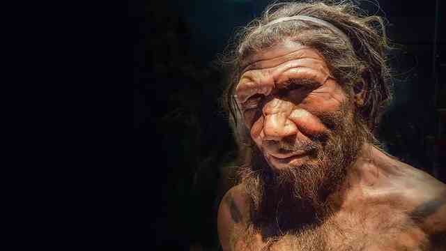 Người Neanderthal thông minh hơn đười ươi và khỉ, vậy tại sao họ lại tuyệt chủng cách đây 30.000 năm? - Ảnh 4. Người Neanderthal thông minh hơn đười ươi và khỉ, vậy tại sao họ lại tuyệt chủng cách đây 30.000 năm? - Ảnh 4.