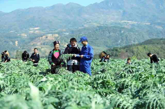 Traphaco và hành trình đảo ngược ‘nghịch lý dược liệu’ ở Việt Nam, nâng thu nhập dân nghèo lên tới trăm triệu/ năm - Ảnh 2. Traphaco và hành trình đảo ngược ‘nghịch lý dược liệu’ ở Việt Nam, nâng thu nhập dân nghèo lên tới trăm triệu/ năm - Ảnh 2.