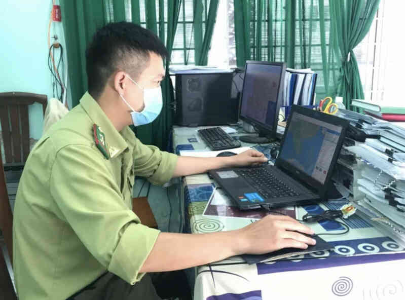 kiem lam bd.jpeg