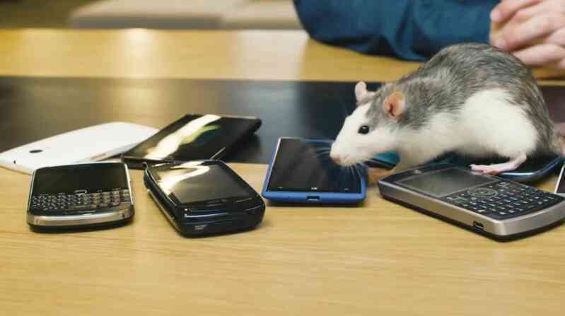 Wifi có gây ung thư không? Cảnh báo 5 tác động âm thầm bào mòn sức khỏe từng ngày- Ảnh 2. Wifi có gây ung thư không? Cảnh báo 5 tác động âm thầm bào mòn sức khỏe từng ngày- Ảnh 2.