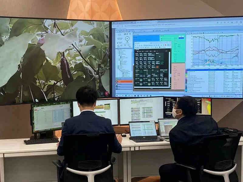 Nông dân Nhật Bản 