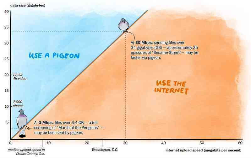 Khó tin: Tốc độ Internet ở vùng nông thôn Mỹ còn chậm hơn cả bồ câu đưa thư