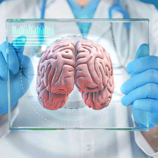 Thí nghiệm cấy ghép não: Sự phát triển của mô não người gây ra những thay đổi hành vi ở chuột!- Ảnh 3. Thí nghiệm cấy ghép não: Sự phát triển của mô não người gây ra những thay đổi hành vi ở chuột!- Ảnh 3.