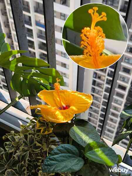 Trải nghiệm camera Xiaomi 13T Pro: Chụp càng tối càng đẹp, màu Leica đặc trưng, tiếc nhất là xóa phông ảo- Ảnh 7. Trải nghiệm camera Xiaomi 13T Pro: Chụp càng tối càng đẹp, màu Leica đặc trưng, tiếc nhất là xóa phông ảo- Ảnh 7.