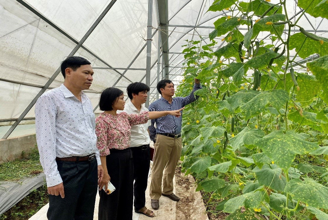 Chuyển đổi số trong sản xuất nông sản: Giảm chi phí nhân công, tăng năng suất