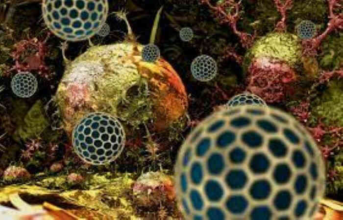 Nga phát triển thành công nanopolymer ngăn chặn sự phát triển của khối u ung thư