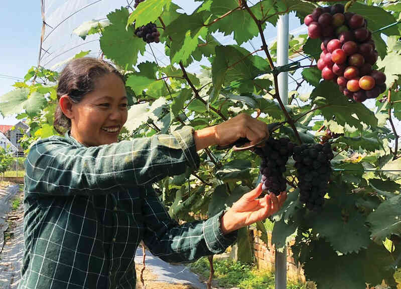 Chuyển đổi số hướng tới nền nông nghiệp hiện đại