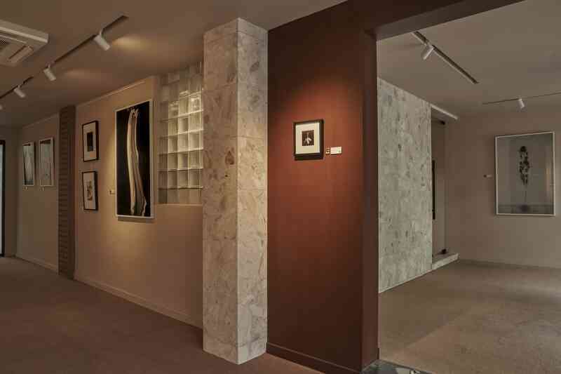 Gallery Medium: Nơi trú ẩn an lành của nghệ thuật- Ảnh 5. Gallery Medium: Nơi trú ẩn an lành của nghệ thuật- Ảnh 5.