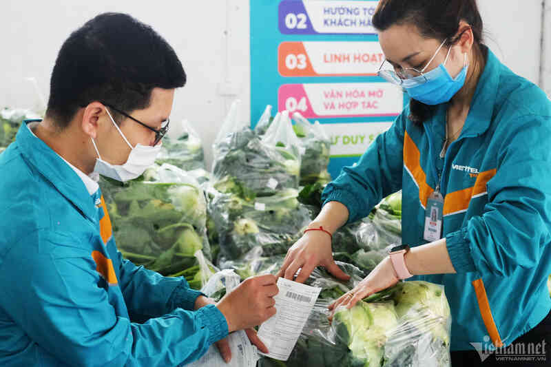 Công nghệ giúp khắc phục điểm yếu của nông sản Việt Nam