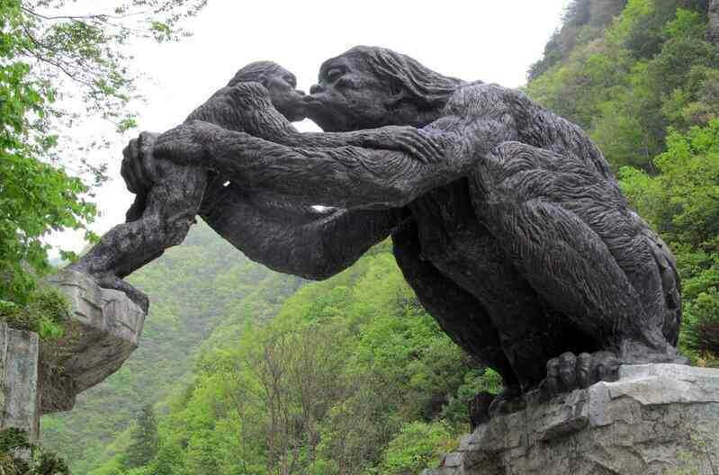 Bí mật sâu trong Shennongjia: Đằng sau khu vực cấm ẩn giấu điều gì? - Ảnh 5.