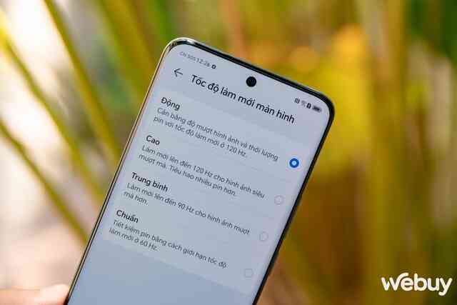 Cận cảnh Honor 90: Thiết kế không lạ nhưng vẫn cuốn, camera cực Cận cảnh Honor 90: Thiết kế không lạ nhưng vẫn cuốn, camera cực