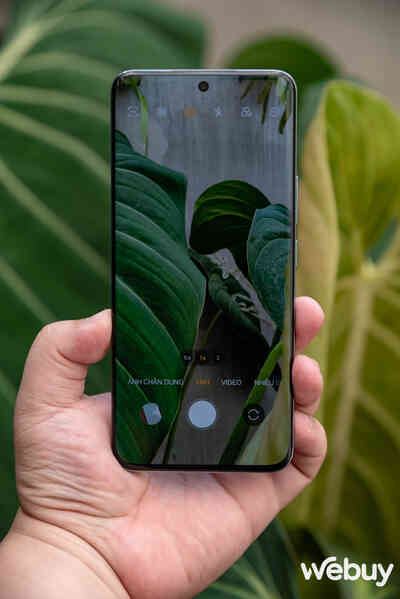 Cận cảnh Honor 90: Thiết kế không lạ nhưng vẫn cuốn, camera cực Cận cảnh Honor 90: Thiết kế không lạ nhưng vẫn cuốn, camera cực