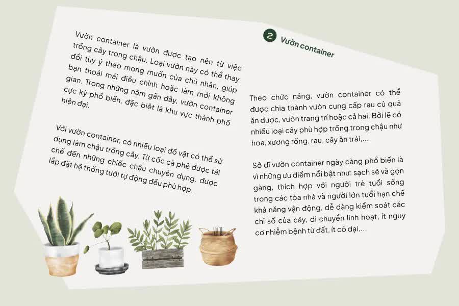 Phá vỡ giới hạn không gian, tạo ra một khu vườn trong nhà- Ảnh 4. Phá vỡ giới hạn không gian, tạo ra một khu vườn trong nhà- Ảnh 4.