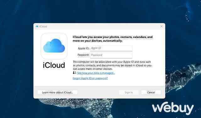 Cách truy cập và quản lý ảnh iCloud trên các thiết bị không phải của Apple- Ảnh 3. Cách truy cập và quản lý ảnh iCloud trên các thiết bị không phải của Apple- Ảnh 3.