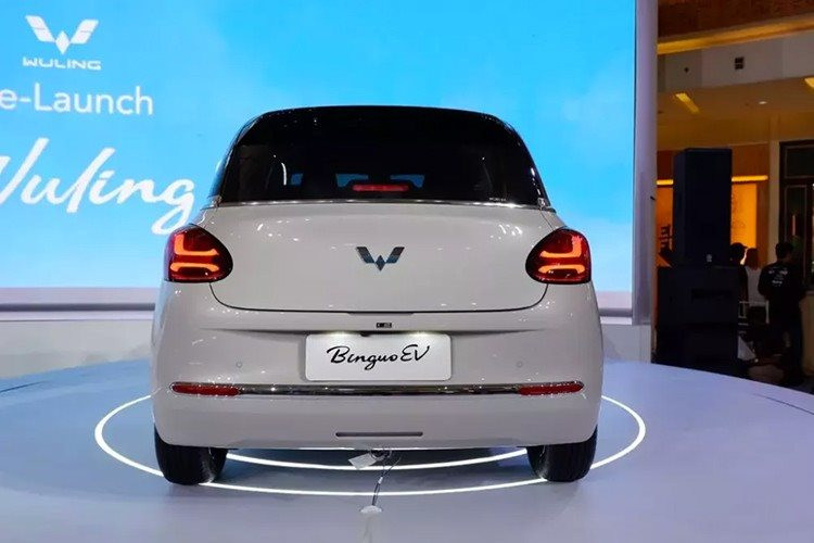 'Anh em' với ô tô điện rẻ nhất Việt Nam đổ bộ Đông Nam Á: bán được 3.000 chiếc dù chưa ra mắt, giá từ 560 triệu đồng- Ảnh 4. 'Anh em' với ô tô điện rẻ nhất Việt Nam đổ bộ Đông Nam Á: bán được 3.000 chiếc dù chưa ra mắt, giá từ 560 triệu đồng- Ảnh 4.