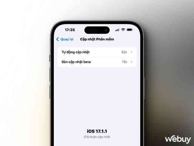 Làm gì khi bàn phím iPhone bị thiếu hoặc không hiển thị khi soạn thảo?- Ảnh 9. Làm gì khi bàn phím iPhone bị thiếu hoặc không hiển thị khi soạn thảo?- Ảnh 9.