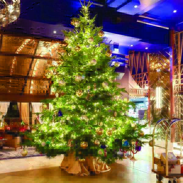 Những cây thông Noel “có một không hai”