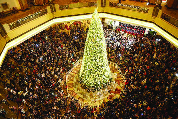 Những cây thông Noel “có một không hai”- Ảnh 2. Những cây thông Noel “có một không hai”- Ảnh 2.