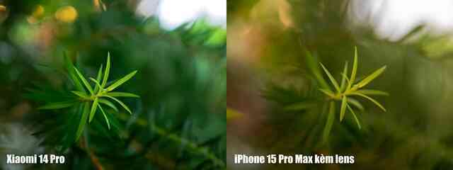 Xiaomi 14 Pro có công nghệ camera này cả iPhone, Galaxy xịn nhất đều chụp xấu hơn- Ảnh 23. Xiaomi 14 Pro có công nghệ camera này cả iPhone, Galaxy xịn nhất đều chụp xấu hơn- Ảnh 23.