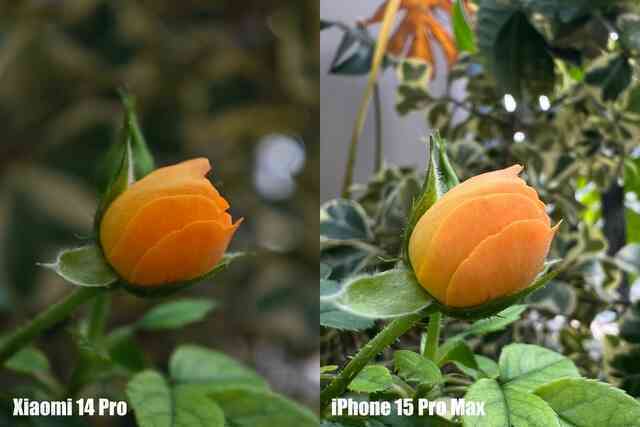 Xiaomi 14 Pro có công nghệ camera này cả iPhone, Galaxy xịn nhất đều chụp xấu hơn- Ảnh 5. Xiaomi 14 Pro có công nghệ camera này cả iPhone, Galaxy xịn nhất đều chụp xấu hơn- Ảnh 5.