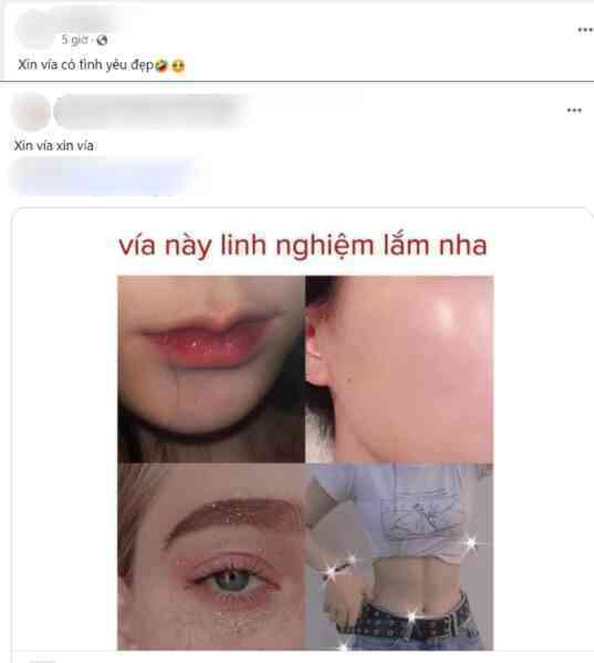 Xin vía là xưa rồi, Tết này Xin vía là xưa rồi, Tết này