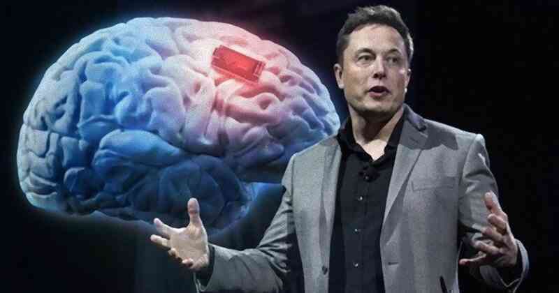 Elon Musk tuyên bố sẽ tự cấy chip não vào cơ thể mình- Ảnh 2. Elon Musk tuyên bố sẽ tự cấy chip não vào cơ thể mình- Ảnh 2.