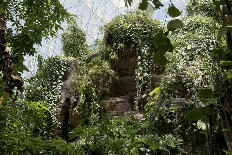Biosphere 2: Hệ sinh thái khép kín lớn nhất thế giới, có đại dương mô phỏng và môi trường sống thám hiểm không gian!- Ảnh 5. Biosphere 2: Hệ sinh thái khép kín lớn nhất thế giới, có đại dương mô phỏng và môi trường sống thám hiểm không gian!- Ảnh 5.