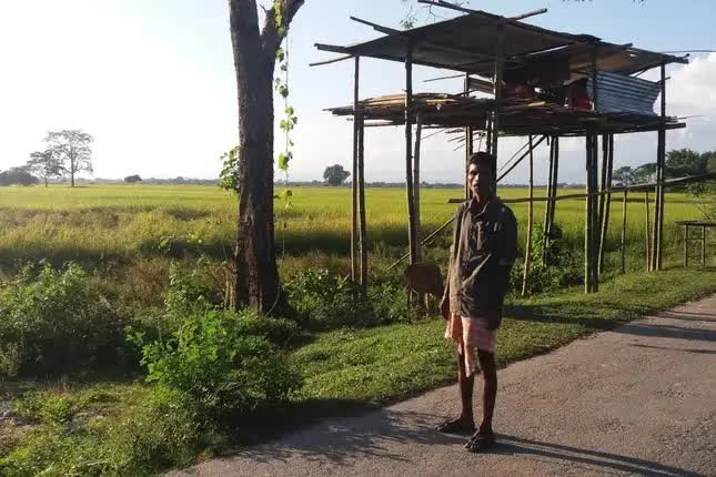 Câu chuyện bi thảm về hai bà mẹ - một người, một voi - trên hành trình sinh tồn đầy gian truân - Ảnh 3.