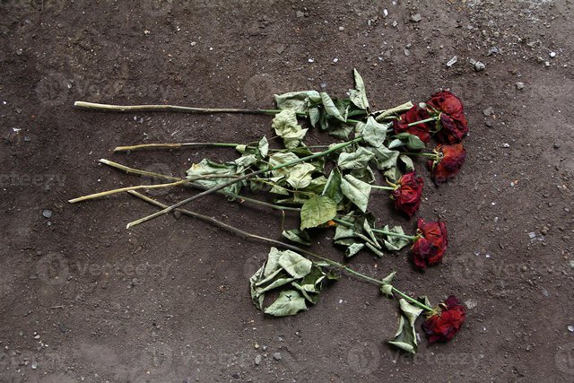 3 sự thật trần trụi về tình yêu, đến nỗi không ai dám nhắc tới trong ngày Valentine