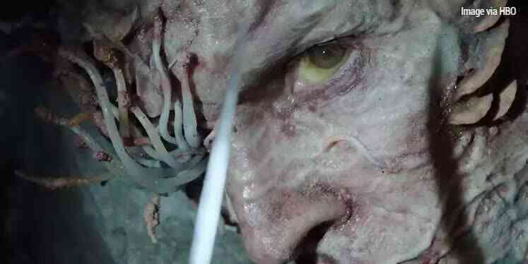 Zombie của The Last Of Us có gì khác biệt so với The Walking Dead? - Ảnh 4. Zombie của The Last Of Us có gì khác biệt so với The Walking Dead? - Ảnh 4.