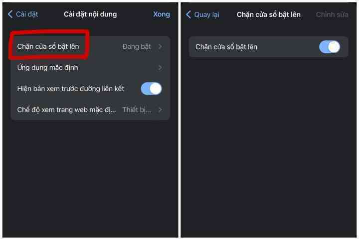 Cách chặn quảng cáo trên iPhone đơn giản, hiệu quả - Ảnh 8.