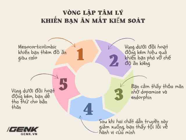 Giảm cân thành công: Đừng vội mừng, vũ trụ sẽ trả lại bạn đúng số cân đã giảm - Ảnh 7. Giảm cân thành công: Đừng vội mừng, vũ trụ sẽ trả lại bạn đúng số cân đã giảm - Ảnh 7.