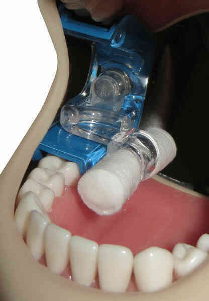 Làm thế nào nước bọt thay đổi hương vị của thức ăn? - Ảnh 3. Làm thế nào nước bọt thay đổi hương vị của thức ăn? - Ảnh 3.