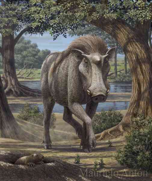 Kubanochoerus gigas: Loài lợn cổ xưa nhưng lại có sừng giống hệt như kỳ lân trong thần thoại - Ảnh 3.