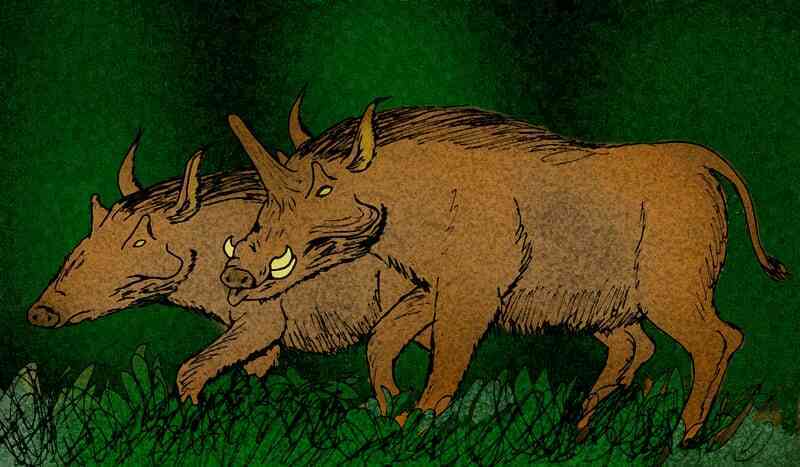 Kubanochoerus gigas: Loài lợn cổ xưa nhưng lại có sừng giống hệt như kỳ lân trong thần thoại - Ảnh 4.