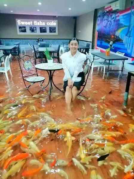 Độc lạ Thái Lan: Quán cafe bơm ngập nước để khách hàng có thể tự do ngâm chân với cá Koi - Ảnh 4.