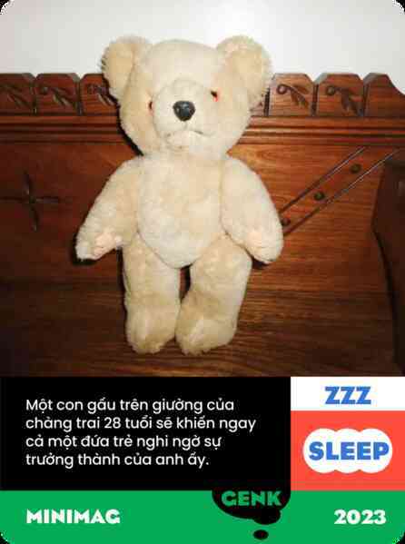 Có ai ở Việt Nam hơn 20 tuổi rồi vẫn còn ngủ với gấu bông không?