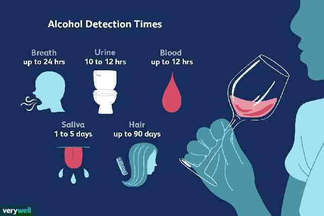 Một cơn say rượu điển hình kéo dài tới 20 tiếng đồng hồ: Đây là những gì sẽ xảy ra trong khoảng thời gian đó - Ảnh 2.