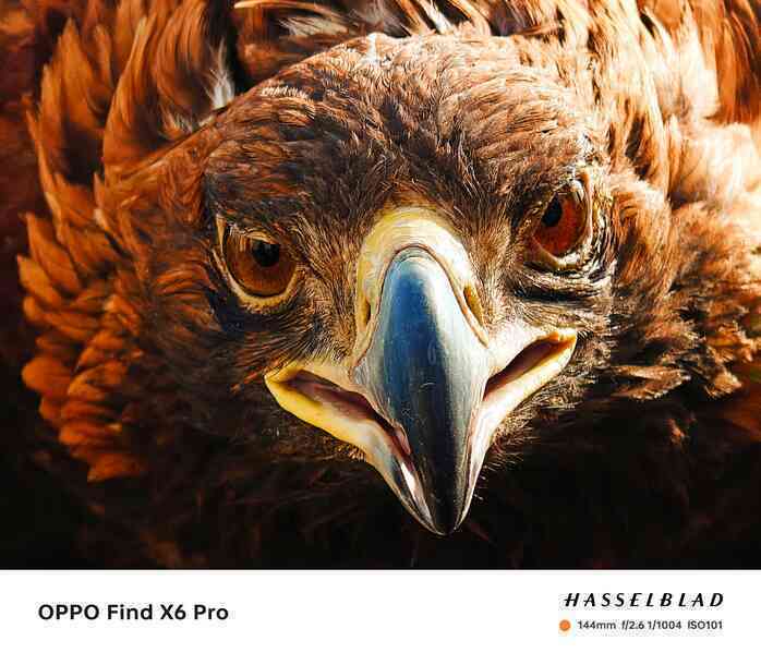 OPPO ấn định ngày ra mắt Find X6 và Pad 2, sẽ có bất ngờ lớn